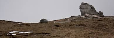 Ion Grosu Homo Ludens Pe Sleau Care Este Sensul VieÅ£ii