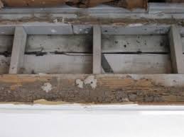 The structural pest control board (spcb) is a part of the department of consumer affairs. Formosan Termite Prevention And Protection Formosan Termite Program Termites Pest Control Consumer Rights And Responsibilities Consumer Resources Home Florida Department Of Agriculture Consumer Services