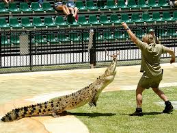 Steve irwin passed away on sept. Steve Irwin Steckbrief Promi Geburtstage De