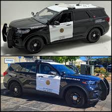 Image result for Arizona Beige 2024 Interceptor