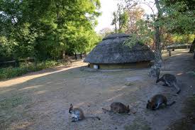Explore city karlsruhe zoological garden exploring city drawing cities. Zoo Karlsruhe Der Zoologische Stadtgarten Meinka