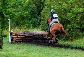 Reiten (1) reiter (1) rem (134). Pferd Springen Kostenloses Foto Auf Pixabay