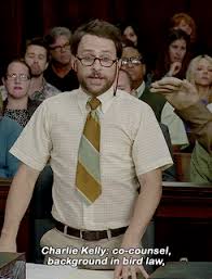 Bird Law Always Sunny Gif Https Encrypted Tbn0 Gstatic Com Images Q Tbn 3aand9gcqwbu6wap4bjjkenlgkpftcfsxkrwvyrmg41g Usqp Cau