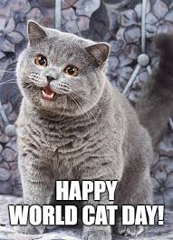 It was created in 2002 by the international fund for animal welfare. Happy World Cat Day I Can Has Cheezburger