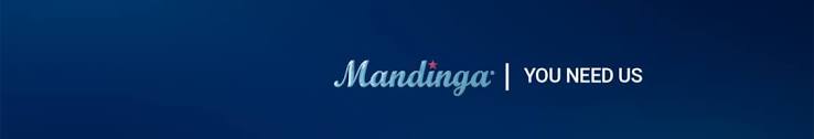 Mandinga | LinkedIn