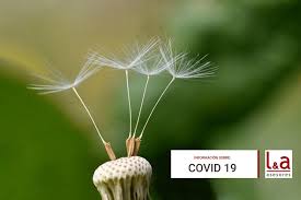 Descubren dos fármacos que bloquean la infección del coronavirus. Resumen Medidas Extraordinarias Extremadura Covid A Partir Del 5 De Marzo De 2021 Liberal Y Arjona