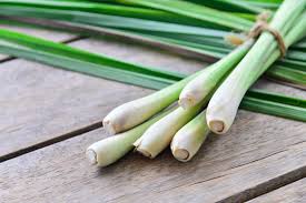 You need to learn how to make lemongrass oil on your own to enjoy its making lemongrass oil at home can easily be done in two ways; Lemongrass Tea Benefits Uses And Recipe