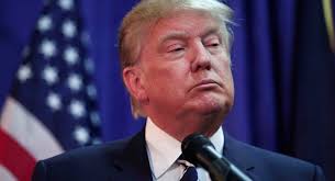 Ex-Mexican President Fox says Donald Trump reminds him of Hitler