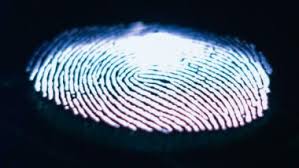 Ein digitaler impfpass soll wieder uneingeschränktes reisen ermöglichen. Lw2xdlms7e9jm