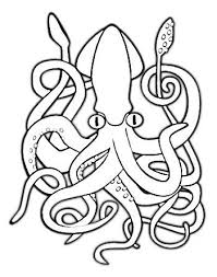 Marine Animal Coloring Pages Squid Coloring Pages To Printable Marine Animals Coloring Pages Animal Coloring Pages Whale Coloring Pages