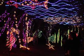 Stroll through 3 million sparkling lights and more than 950 displays throughout the 65 acre garden estate. Christmas Lights At Bellingrath Gardens Alabama The Wherever Writer