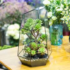Custom Made Super Large 16 1 Inches Height Irregular Prism Glass Geometric Terrarium Box Tabletop Succulent Plant Planter Flower Pot Fern Mo Flower Pots Flower Planters Glass Terrarium
