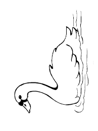 Free printable swan coloring pages. Swan Coloring Page 1001coloring Com