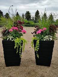 Good Plant Grouping Good Grouping Plant Flower Pots Outdoor Patio Flowers Container Gardening Flowers