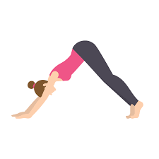 15 Yoga Poses And Their Benefits To Your Body Downward Dog Yoga Pose Yoga Poses Kids Yoga Poses