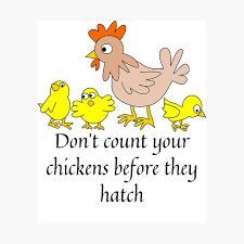 Don T Count Your Chickens Before They Hatch Poster By Barney2309 Redbubble