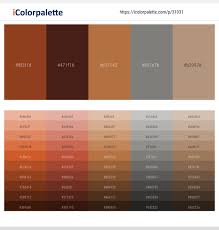 Choose from a wide selection of paint at lowe's®. Cumin Cedar Brown Rust Friar Gray Sandrift Color Scheme Icolorpalette