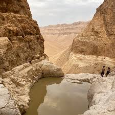 Who shall bless thee with blessings of heaven int: Picture Of Tze Elim Stream Dead Sea Region Tripadvisor