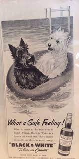 pin on a shot of scotch