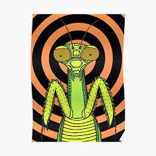 Praying Mantis Posters for Sale | Redbubble