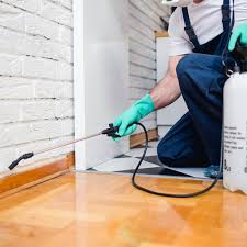 Most people have mild illness and are able to recover at home. What Do Pest Control Companies Do What Should You Expect Updated For 2021 Pests Org