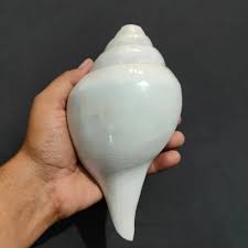 Blowing Conch Prior To A Ritualistic Worship - Hindu Janajagruti Samiti