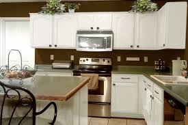 brown and white kitchens pthyd