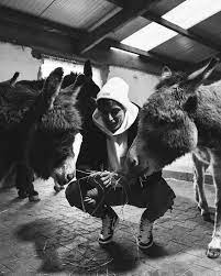 Kai lukas havertz, the bona fide german talent moved to chelsea in a 71 million pounds move to chelsea in the 2020 summer transfer window. Footballers With Animals On Twitter Kai Havertz Trying To Blend In With Some Donkeys