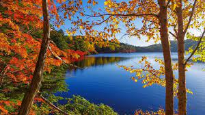 Nature Autumn Lake Hd Free Download Wallpapers Autumn Lake Autumn Nature Autumn Trees