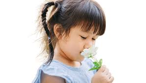 Размытие фона изображения