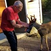 Mershon Family Obituaries