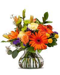 Maybe you would like to learn more about one of these? North Raleigh Florist Raleigh Nc Flower Delivery Local Flower Shop