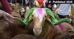 About press copyright contact us creators advertise developers terms privacy policy & safety how youtube works test new features press copyright contact us creators. Opinion Why Do Muslims Slaughter Animals For God The New York Times