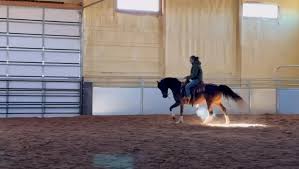 🌟🤠🌟 Alice Blue Gown V 🌟🤠🌟...