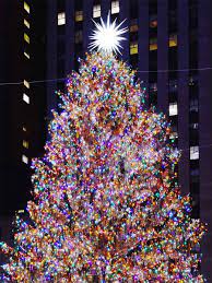 New York City Christmas Tree In 2021 New York City Christmas New York Christmas Christmas Window Display