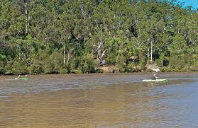 In the national park can be a typical river landscape near the city sydney. Fitzpatrick Park Nsw National Parks