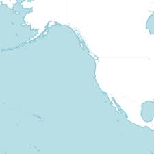 Image result for Bulbostylis scabricaulis