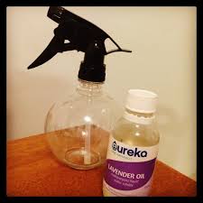 Known to feed on carbohydrates and protein, this insect may try to make a meal out of your linens. How To Get Rid Of Silverfish Naturally Using Lavender Oil Dengarden