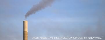 Image result for images Negative Effects of Acid Rain