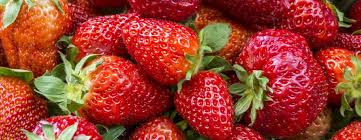 Maybe you would like to learn more about one of these? Comment Planter Un Fraisier Culture Entretien Recolte Terre Vivante
