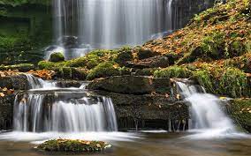 流 瀑布 葉 青苔 約克郡 英國桌布預覽 waterfall cool wallpaper fall photos