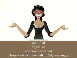 نتیجه جستجوی لغت [mollify] در گوگل