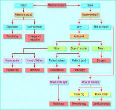 It is compulsory that some basic subject should be studied such as physics, chemistry, biology and mathematics. Where To Go Next Efenem S Weblog