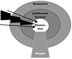 Fachartikel Wenn Die Wunde Verheilt Ist Schmerzt Die Narbe Fruhkindliche Traumatisierungen Und Die Folgen Moses Online