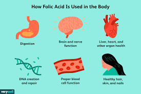 Folic Acid Benefits Side Effects Dosage And Interactions