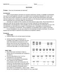 Akaryotype is a picture showing a cell's chromosomes grouped together in pairs. Lzyvwlnv8cl7 M