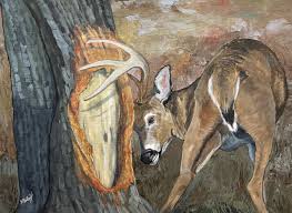 Serenade in the Key of “Urrrrrp”