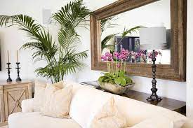 Turn Of The Century Havana Mirror And Tropical Foliage I Love This Room Even Though Mine Is A Different Style Couch Decor Wall Behind Sofa Wall Behind Couch