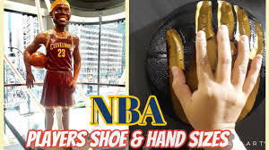 For reference, the average hand size of a human is 7.6 inches long! Nba Players Shoe Sizes Nba Players Hands Size Nice To Know When In Nyc Nba Youtube