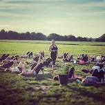 Beer and Yoga